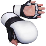 MMA Gloves