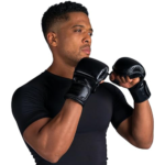 MMA Gloves