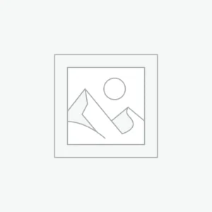 Boxing Gloves & Pads